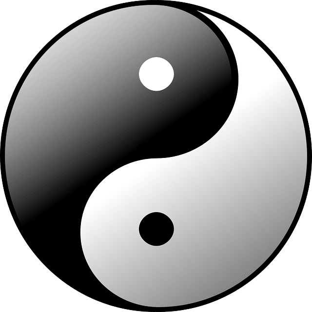 yin yang dessin taiji
